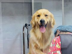 -宠福鑫康馨动物医院·骨科·眼科