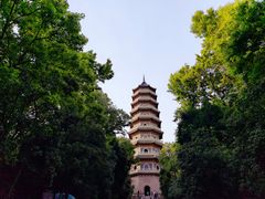 -灵谷景区