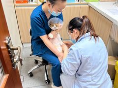 -全心全意连锁动物医院·特色中医诊疗(会城门分院)