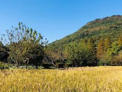 -八卦田遗址公园