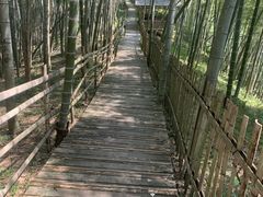 -宁波浙东大竹海景区