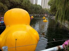 景点-沈阳南湖公园