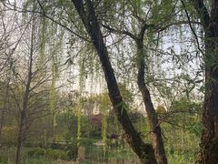 -无锡梅园公园