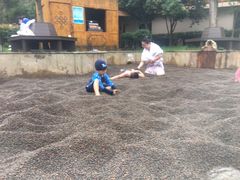 -三江森林温泉度假区