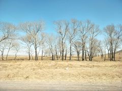 -库伦旗银沙湾旅游景区