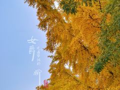 景点-北京石刻艺术博物馆(五塔寺)