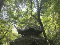 -房湖公园