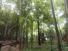 -杭州黄龙洞