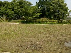 -四川大学(江安校区)