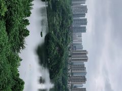 -重庆彩云湖湿地公园