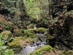 -藏龙百瀑风景区