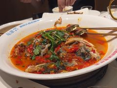 -坛宗剁椒鱼头(河西王府井店)