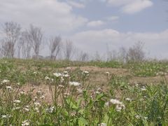 -府河摄影公园