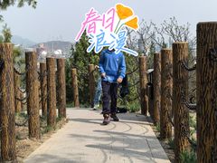 -白水寺森林公园