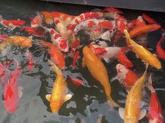 -濮园 · 四合院餐厅