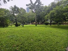-晓港公园