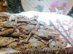 -吉布鲁牛排海鲜自助(339店)