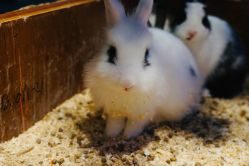 -酷嗒动物文化乐园(cutezoo西溪乐天城店)