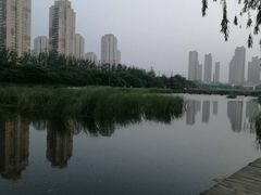 -前关湿地公园