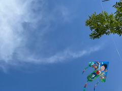 -长广溪湿地公园