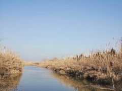 -泗洪洪泽湖湿地景区