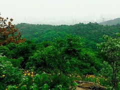 -灵岩山风景区