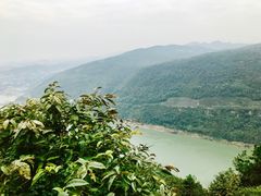 -铁山坪森林公园