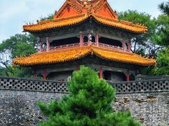 -北陵公园
