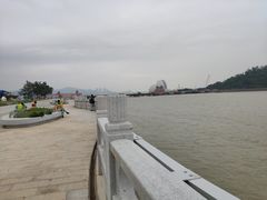 -野狸岛