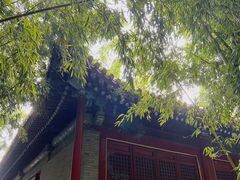 -玉兰茶楼