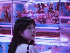 -苏州艺都古玩花鸟市场