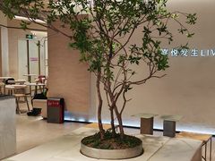 -喜茶(深圳东门1234店)