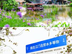 -江门古劳水乡旅游区