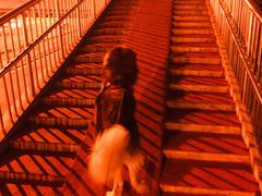 -ETC速通卡(六里桥服务网点)