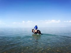 -青海湖国家重点风景名胜区