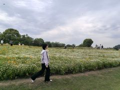 -径山花海