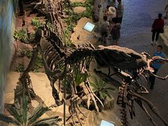 -自贡恐龙博物馆