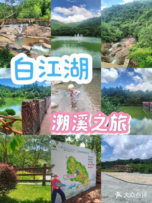 广州白江湖森林公园图片