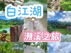 -广州白江湖森林公园