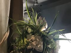 大堂-芭缇沁园椰子鸡(中航紫金新天地店)