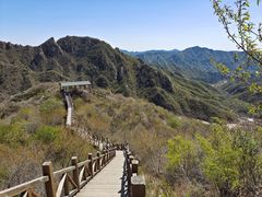 -大岭沟猕猴桃谷风景区