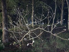 -宁波九龙湖开元度假村