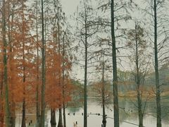 -三圣花乡旅游区