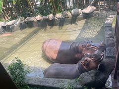 -宁波野生动物园