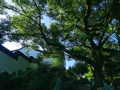 -乌山风景区