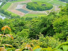 -八卦田遗址公园