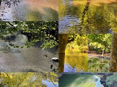 -阿哈湖国家湿地公园