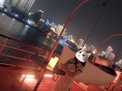 -武汉知音号