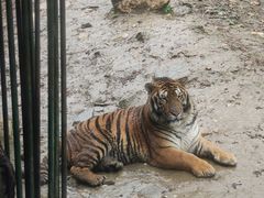 -栾川竹海野生动物园