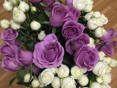 -三圣花乡旅游区